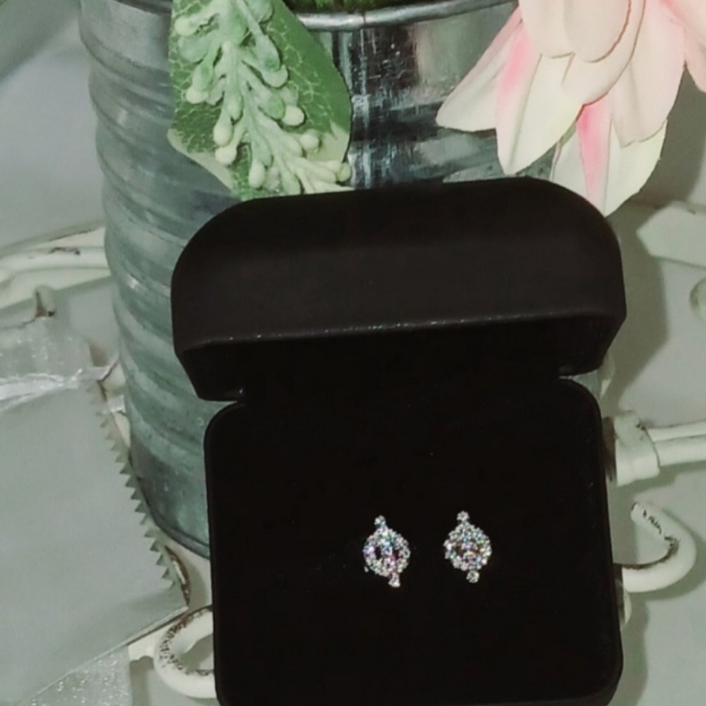 Round Bar MoissaniteNWT Earrings